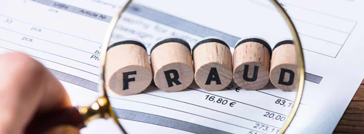 Financial Fraud Investigation